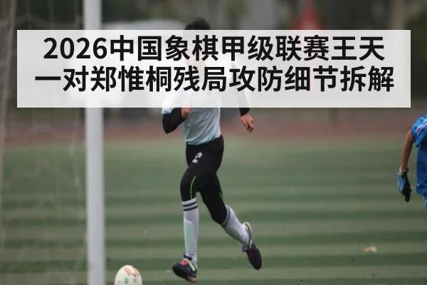 2026中国象棋甲级联赛王天一对郑惟桐残局攻防细节拆解